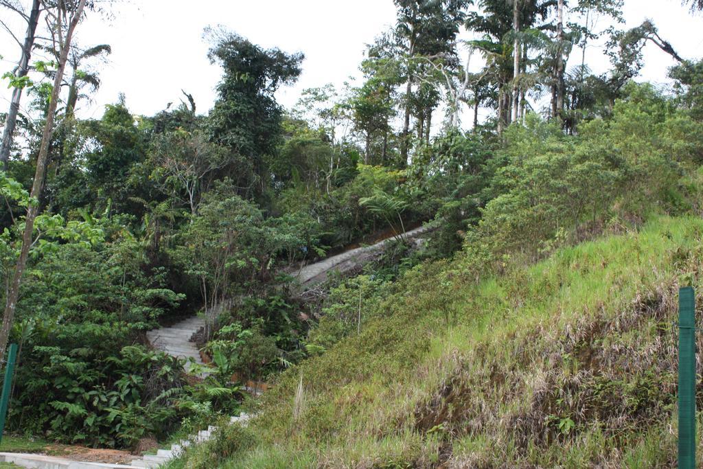 Cameron Golden Hills Resort Tanah Rata Exterior foto