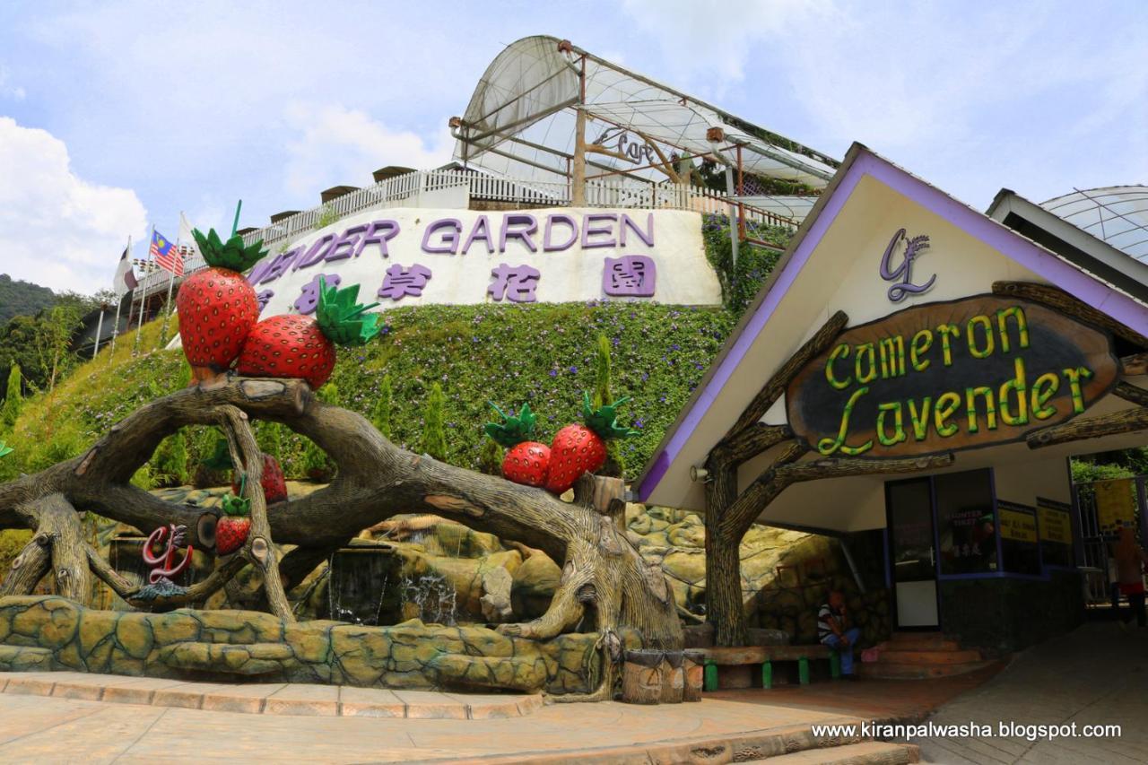Cameron Golden Hills Resort Tanah Rata Exterior foto