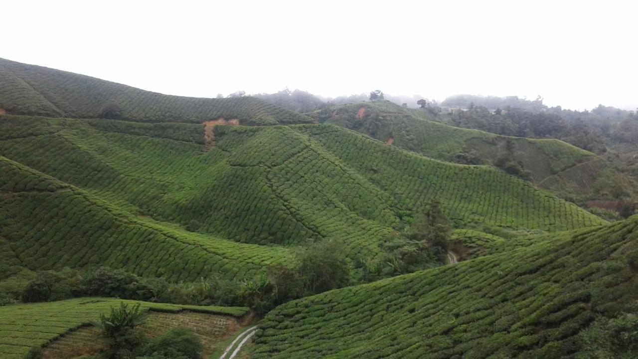 Cameron Golden Hills Resort Tanah Rata Exterior foto
